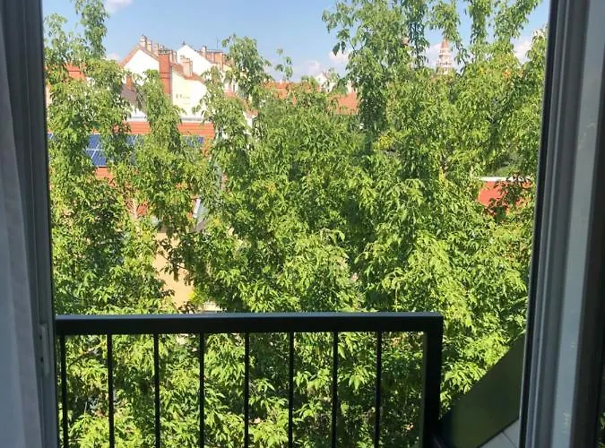 Mosoly Szallashely Szeged