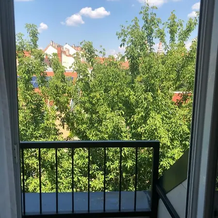 Mosoly Szallashely Szeged